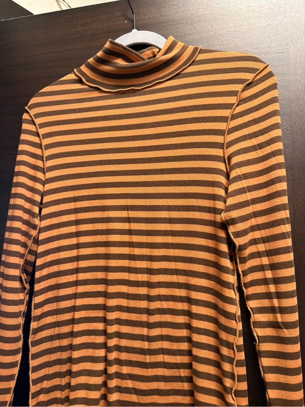 Free People Striped Turtle Long Sleeve Top in Brown and Tan